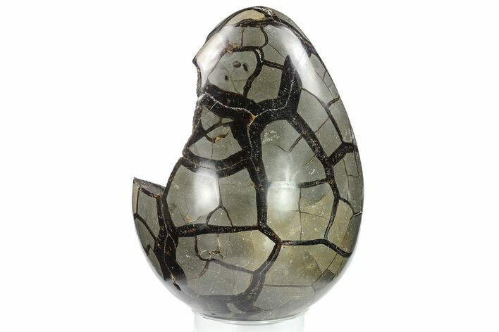 Septarian Dragon Egg Geode - Black Crystals #134630